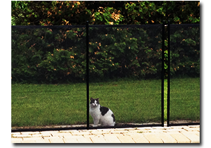 Pool Safety Fence Houston - Keep Children and Pets Safe